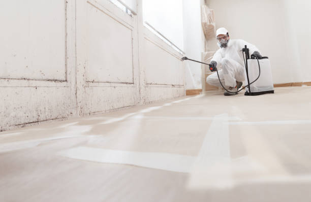 24/7 Emergency Commercial Mold Remediation experts in Annandale, NJ