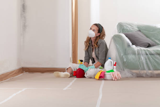 Reliable Commercial Mold Remediation contractor in Annandale, NJ by WQB Mold Removal