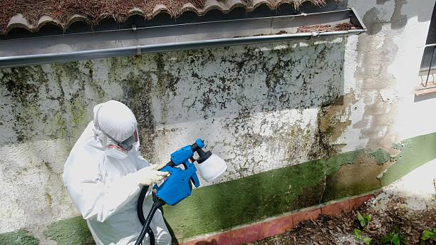 Top rated local Commercial Mold Remediation specialists in Annandale, NJ